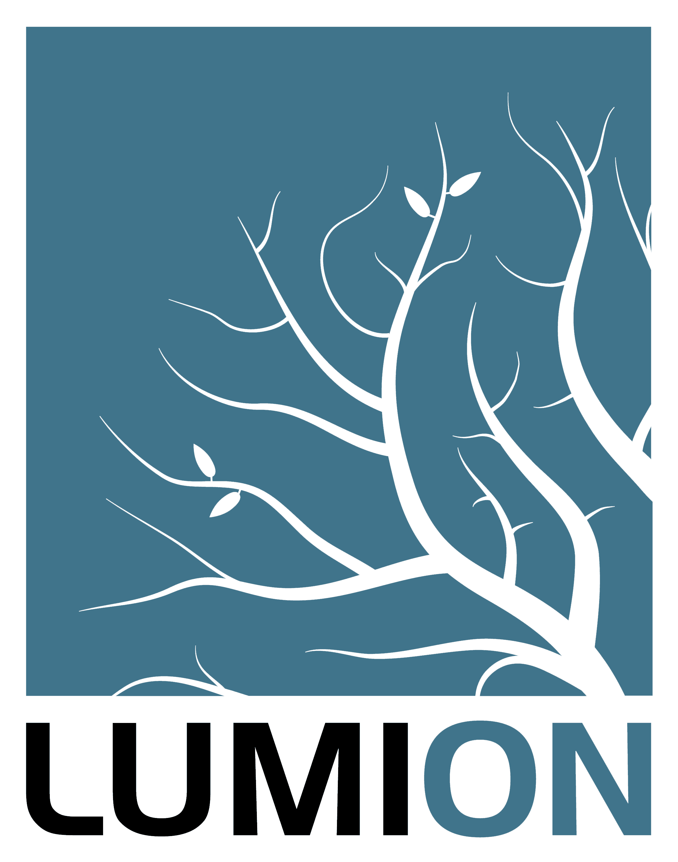logo lumion logo lumion