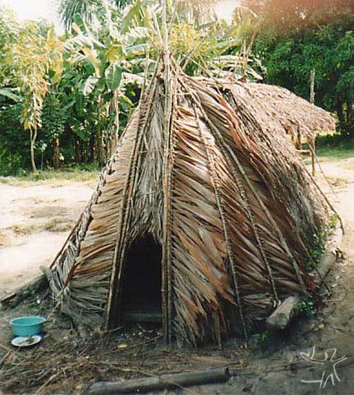 پالاپاها - معماری بومی